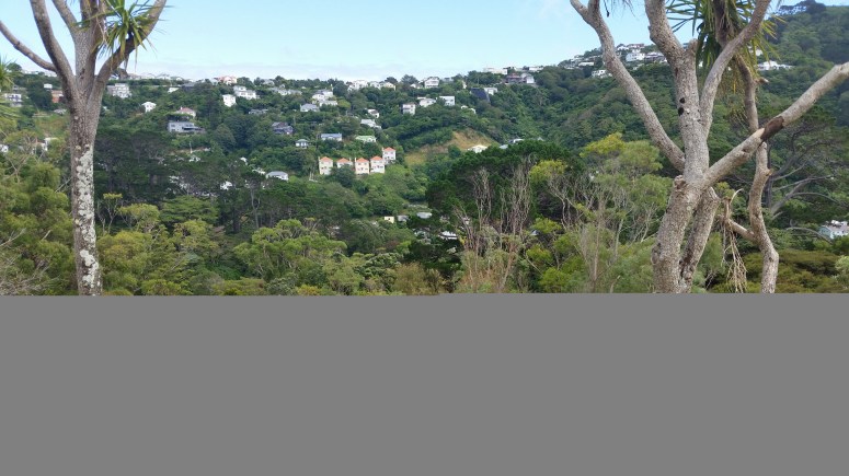 20170220_104541 (2).jpg